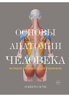 

Основы анатомии человека. Наглядное руководство для художников. 94914