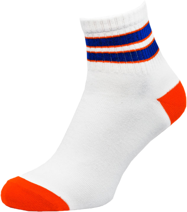 

Носки The Pair of Socks 1P-121-S/WHT 35-37 Белые с синим