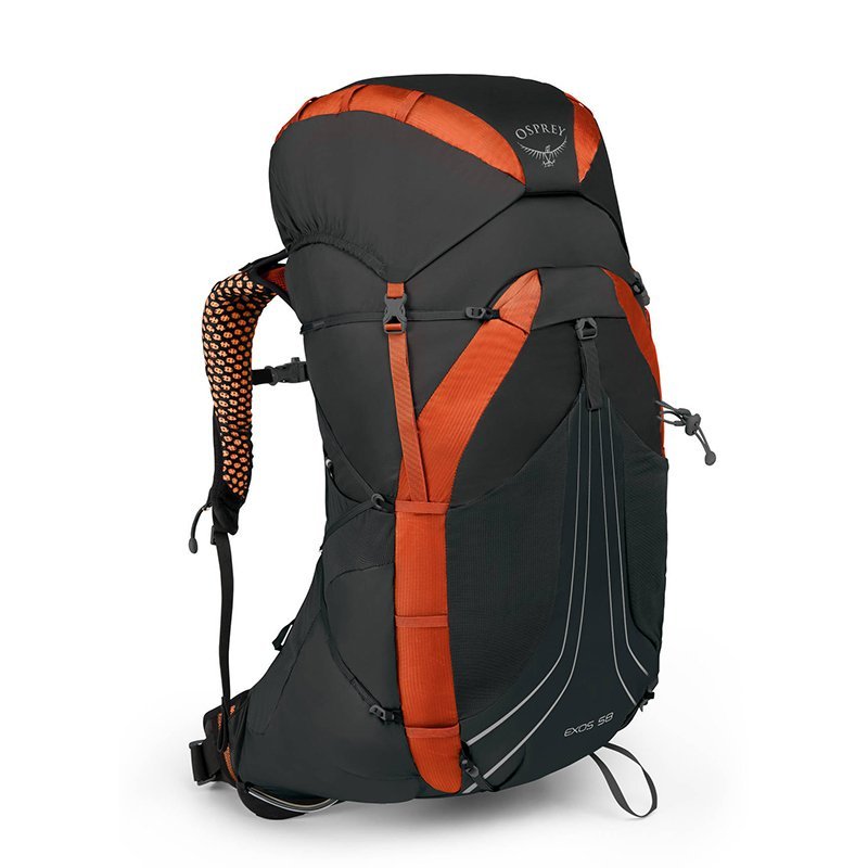 

Туристический рюкзак Osprey Exos 58 Blaze Black LG (009.1736)