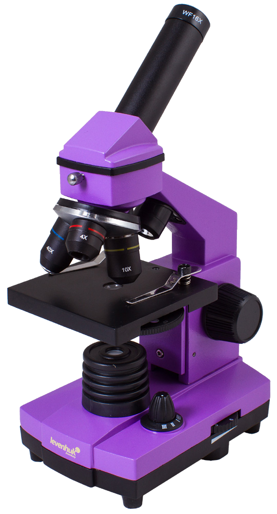 

Микроскоп Levenhuk Rainbow 2L PLUS Amethyst\Аметист, Levenhuk, 69092