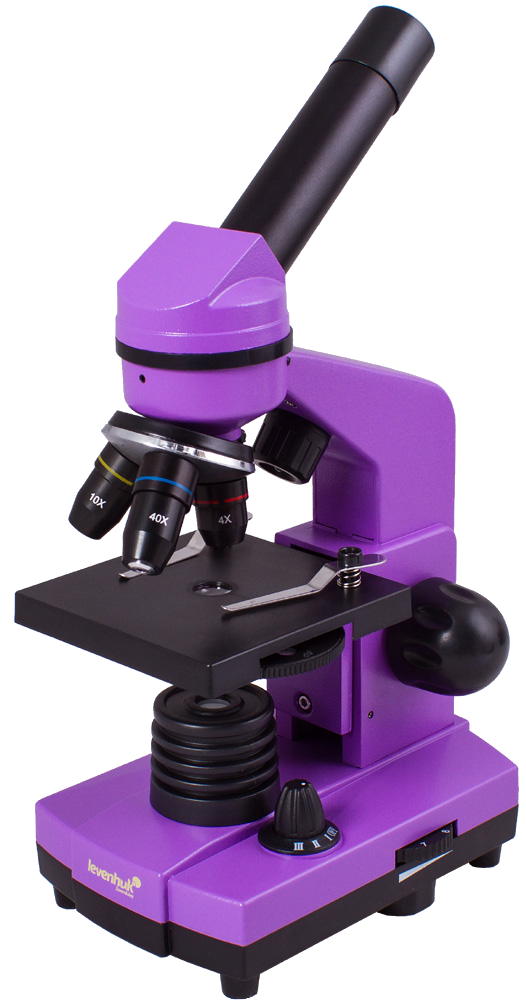 

Микроскоп Levenhuk Rainbow 2L Amethyst\Аметист, Levenhuk, 69086