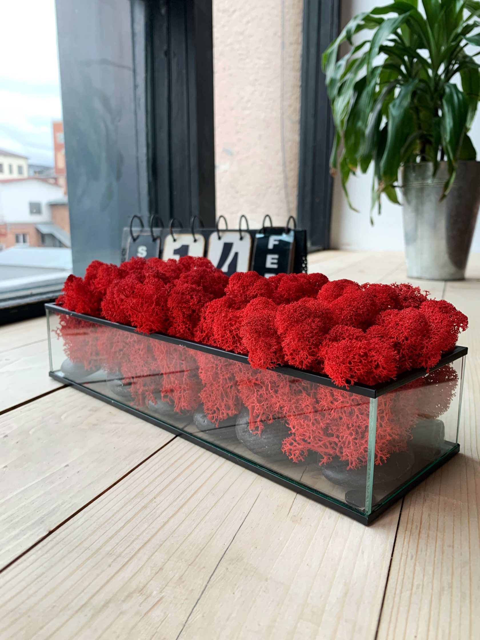 

Кашпо со стабилизированным мхом Woodhouse Mossarium декор для дома офиса