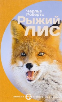 

Рыжий лис (14080440)