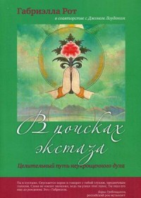 

В поисках экстаза. Целительный путь неукрощенного духа (13662050)