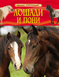 

Лошади и пони (13491903)
