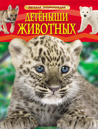 

Детёныши животных (13411763)