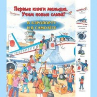 

В аэропорту и в самолете (13514067)