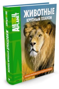 

Животные крупным планом. Иллюстрированная энциклопедия. Animal Planet (14226736)