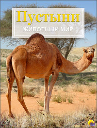 

Пустыни. Животный мир (13438178)