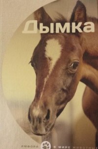 

Дымка (13801167)