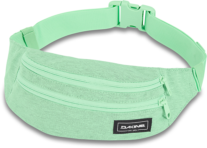 

Сумка на пояс DAKINE CLASSIC HIP PACK 8130-205 DUSTY MINT 2020