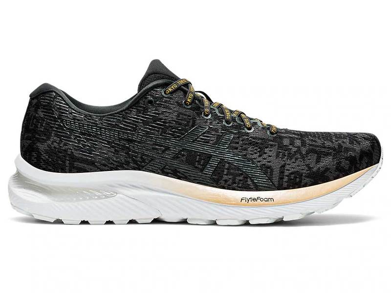 

Мужские кроссовки для бега Asics GEL-CUMULUS 22 1011B065 001 BLACK/WHITE 2020 41,5 (EU), 26 (CM), 8 (US)