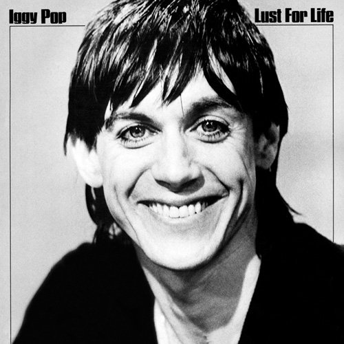 

Виниловая пластинка Pop, Iggy Lust For Life (арт. 4873)