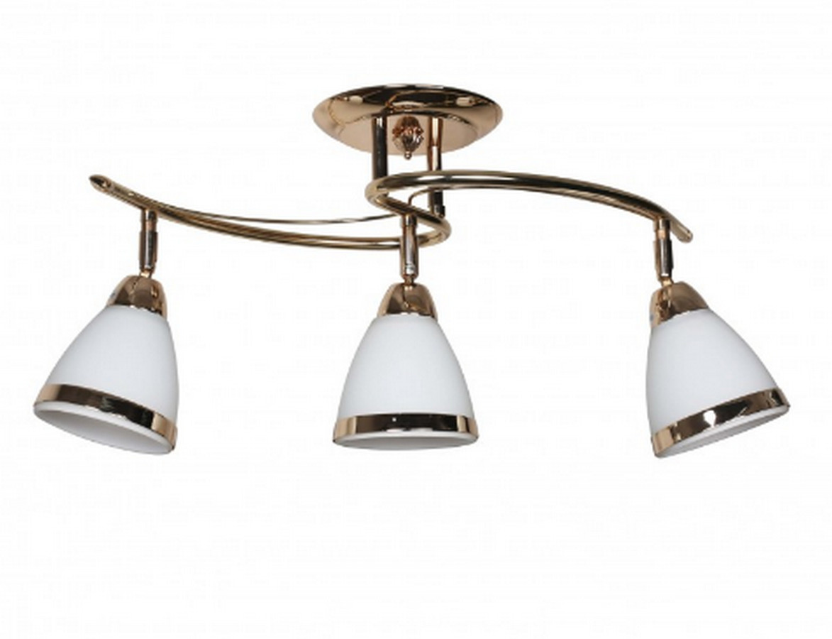 

Люстра Припотолочная Скандинавская F+Light Md 26193-3C Fg+M