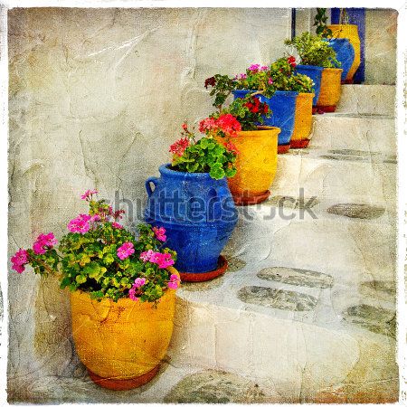 

Фотообои ArtSide Цветы в горшках (61593742) Штукатурка