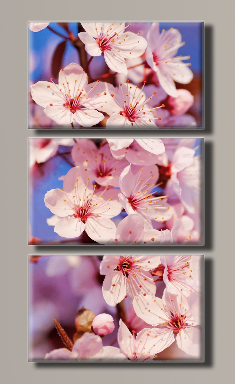 

Модульная картина Art&Print Вишня 103х54 см (HAT-093 )