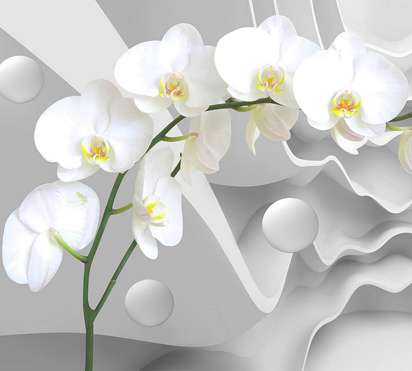 

3D Фотообои бумажные DeCors Орхидея на фоне 300x270 см 3 сегмента (181111)