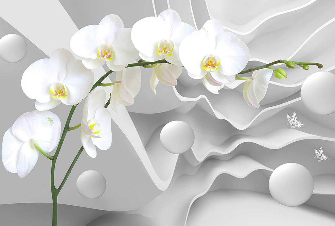 

3D Фотообои бумажные DeCors Орхидея на фоне 400x270 см 4 сегмента (181167)