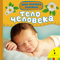 

Тело человека