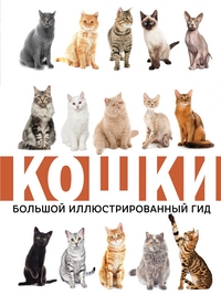 

Кошки (15117763)