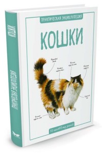 

Кошки (14110403)