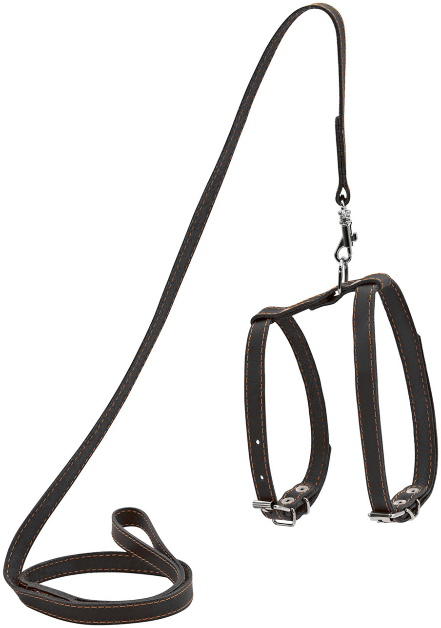 

Шлея "CoLLaR" кошачья с поводком кожаная (ширина 12мм, А:22-30см,В:30-40см, длина 122см), Черный (05451)