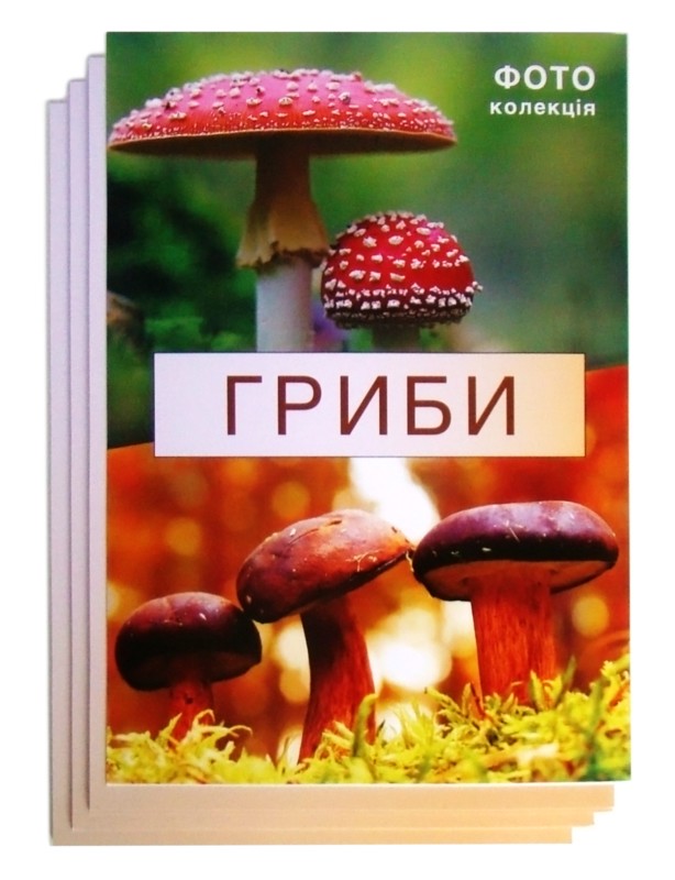

Модель Гриби (фотоальбом) White