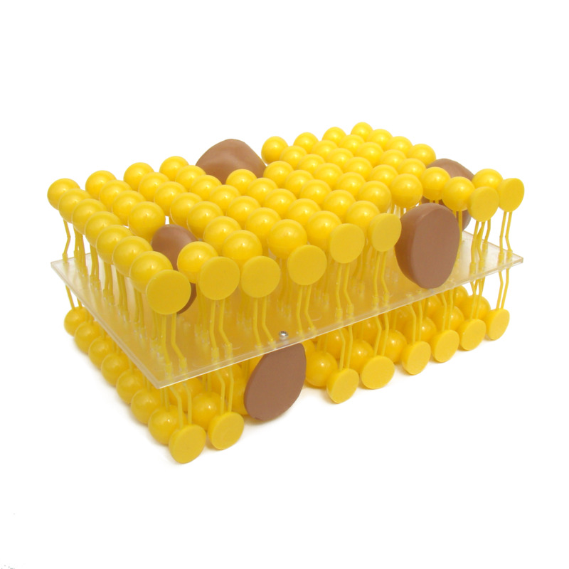 

Модель Строение мембраны клетки Yellow