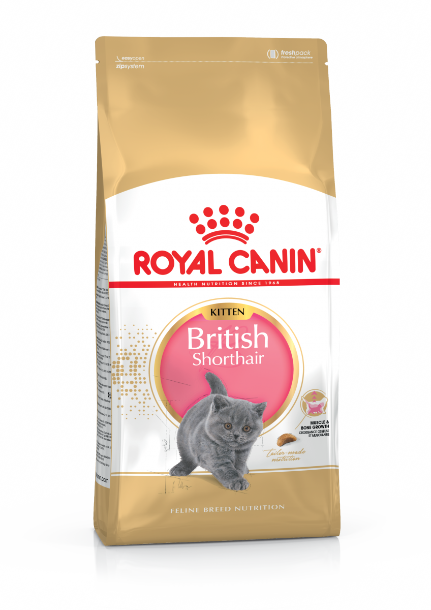 

Сухой корм для котят Royal Canin British Shorthair Kitten 10 кг