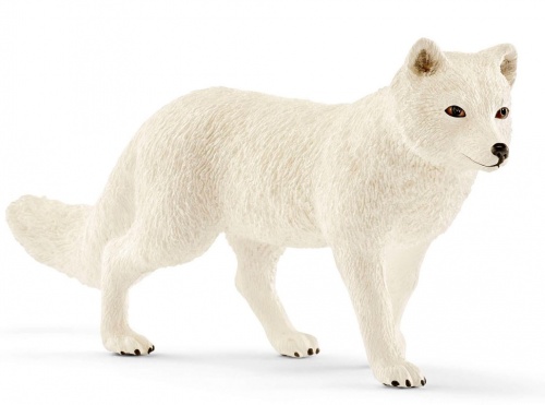 

Песец (Полярная лисица), игрушка-фигурка, Schleich (12-53871)