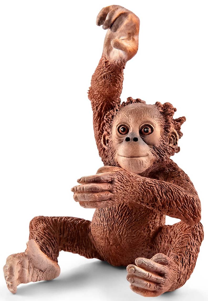 

Молодой орагутан, игрушка-фигурка, Schleich (12-37849)
