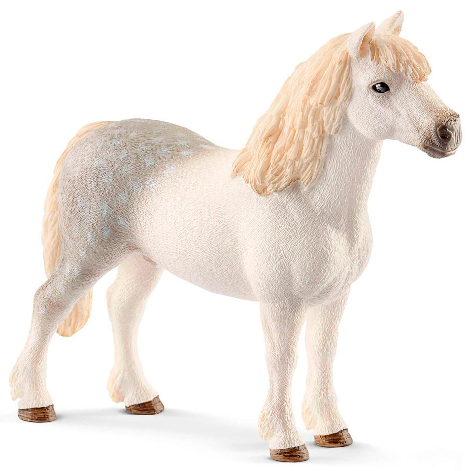 

Уэльский пони, жеребец, игрушка-фигурка, Schleich (12-53908)