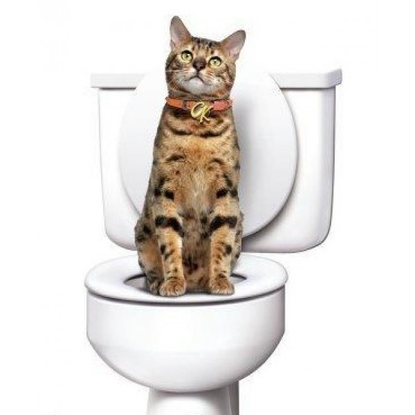 

CitiKitty cat - система приучения кошки к унитазу. СитиКитти AdV
