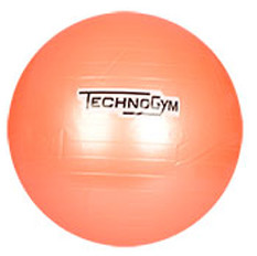 

Мяч гимнастический TechnoGym 75см MS 0983 Оранжевый (bc-by-291100)