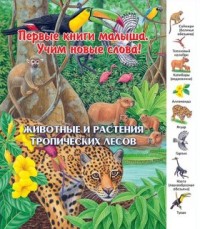 

Животные и растения тропических лесов (13549061)