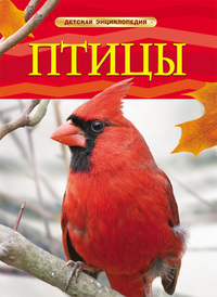

Птицы. Детская энциклопедия (13026033)