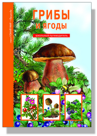 

Грибы и ягоды (12820026)
