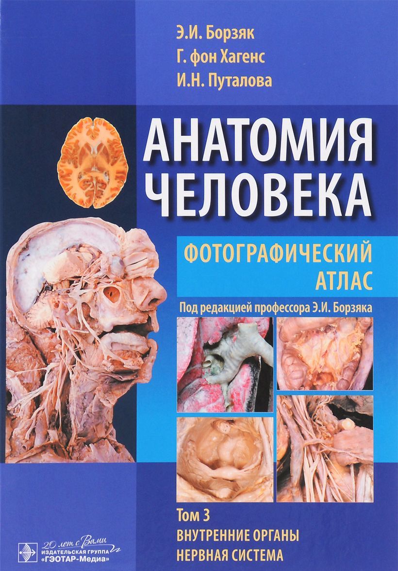 

Анатомия человека. Фотографический атлас. Учебное пособие. В 3 томах. Том 3. Внутренние органы. Нервная система
