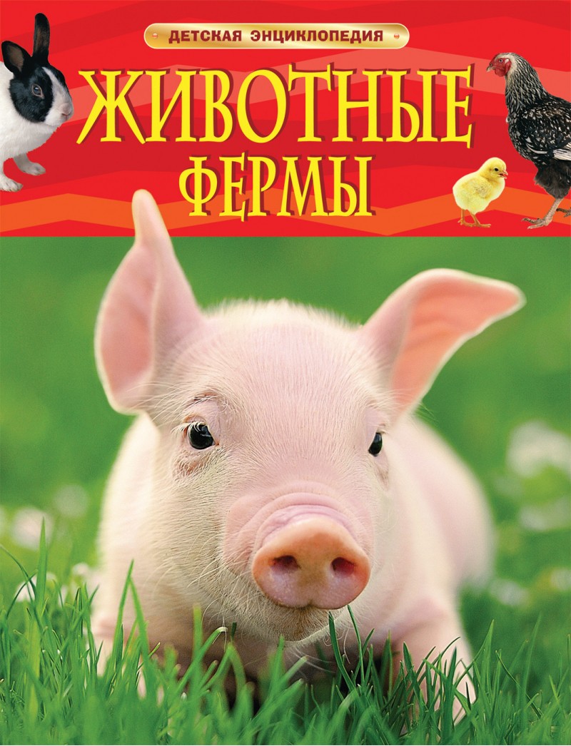 

Животные фермы
