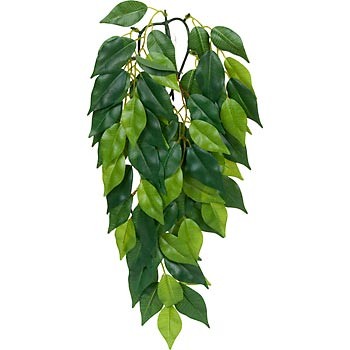 

Растение для террариума Exo Terra Ficus large