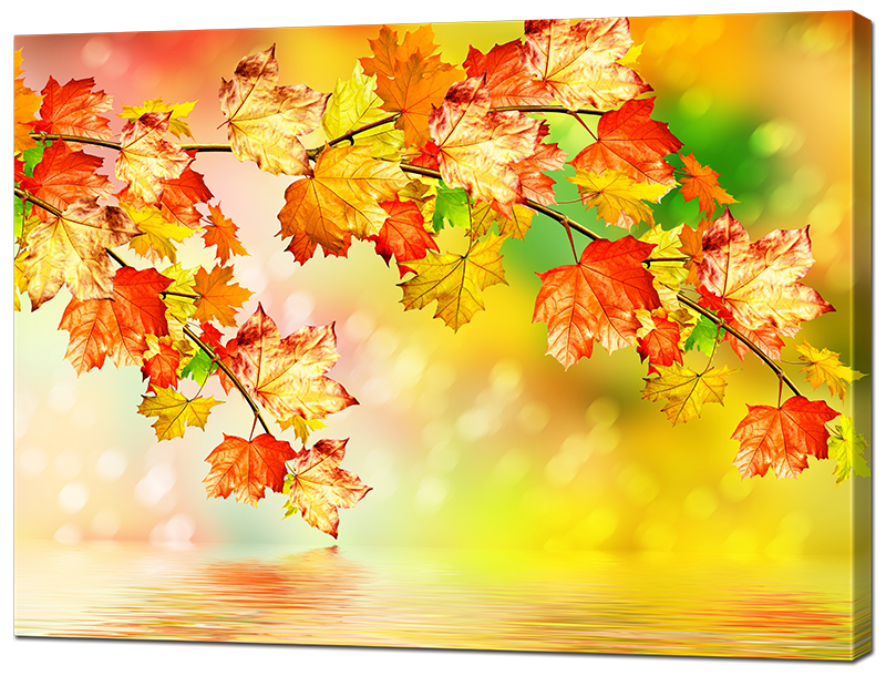 

Картина Interno Холст Осенняя пора 120х92см