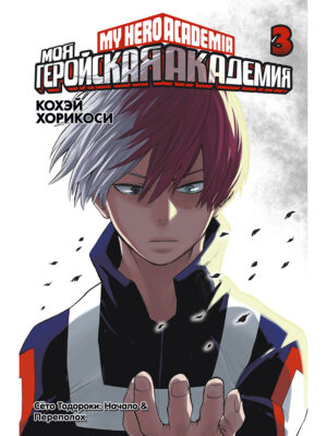 

Моя геройская академия (книга 3)