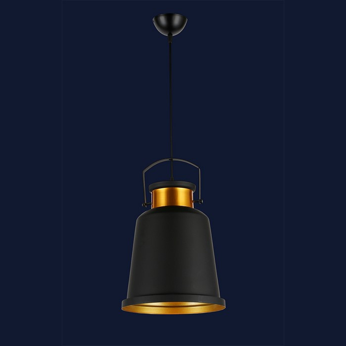 

Светильник Levistella 7546602-1 BK+GD