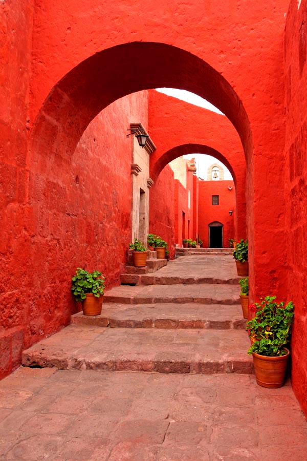 

Фотообои Сhameleons Улочка (6804)