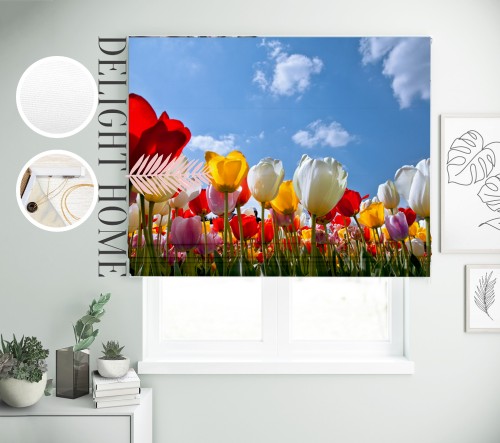 

Римская штора с фотопечатью 03-187 система Light I&H Джуси велюр 290*170 см