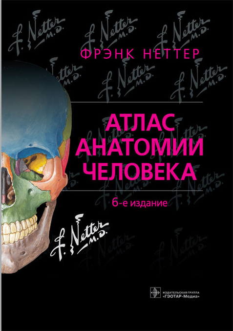 

Атлас анатомии человека Неттера