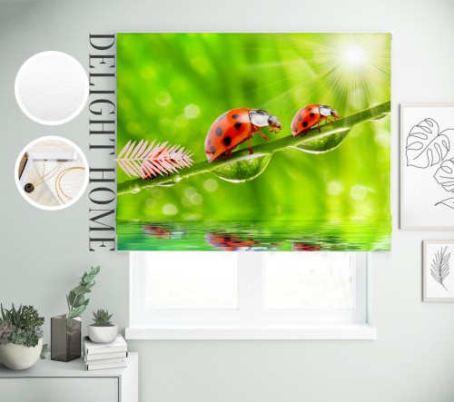 

Римская штора с фотопечатью 08-132 система Light I&H Джуси велюр 220*170 см