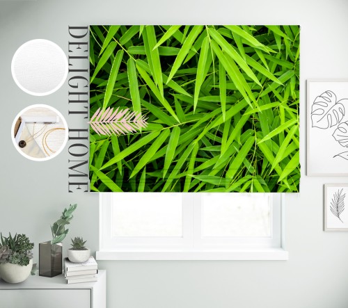 

Римская штора с фотопечатью 05-189 система Light I&H Джуси велюр 270*170 см
