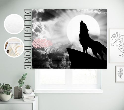 

Римская штора с фотопечатью 08-110 система Light I&H Джуси велюр 270*170 см