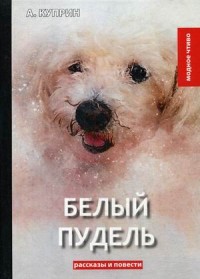 

Белый пудель (15217630)